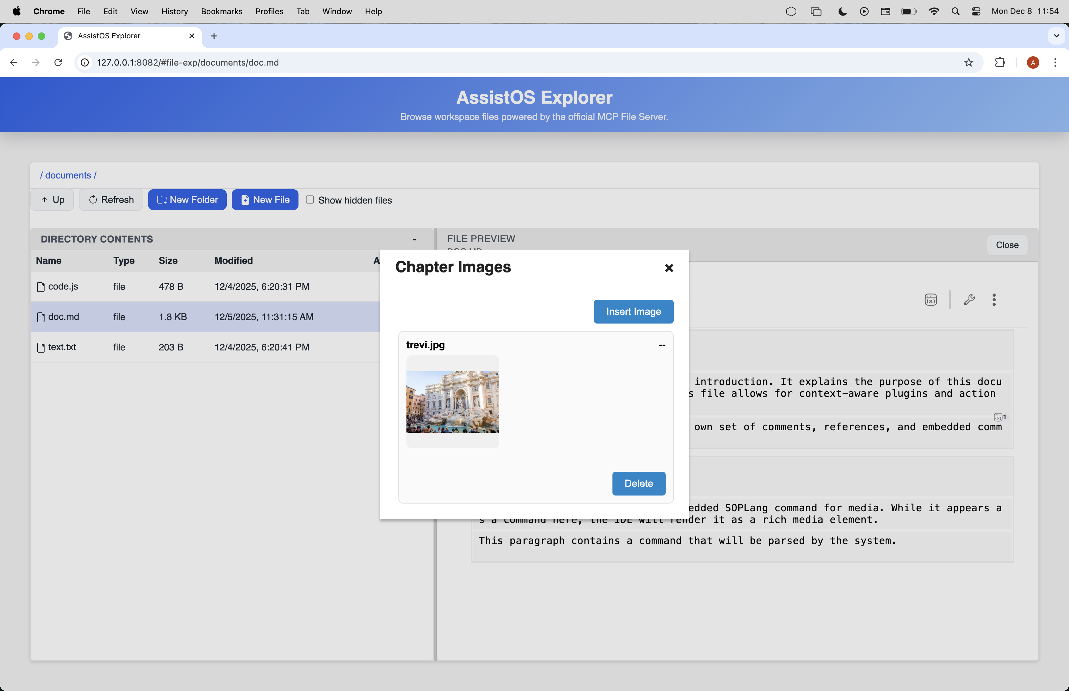 Plugin modal selection and preview